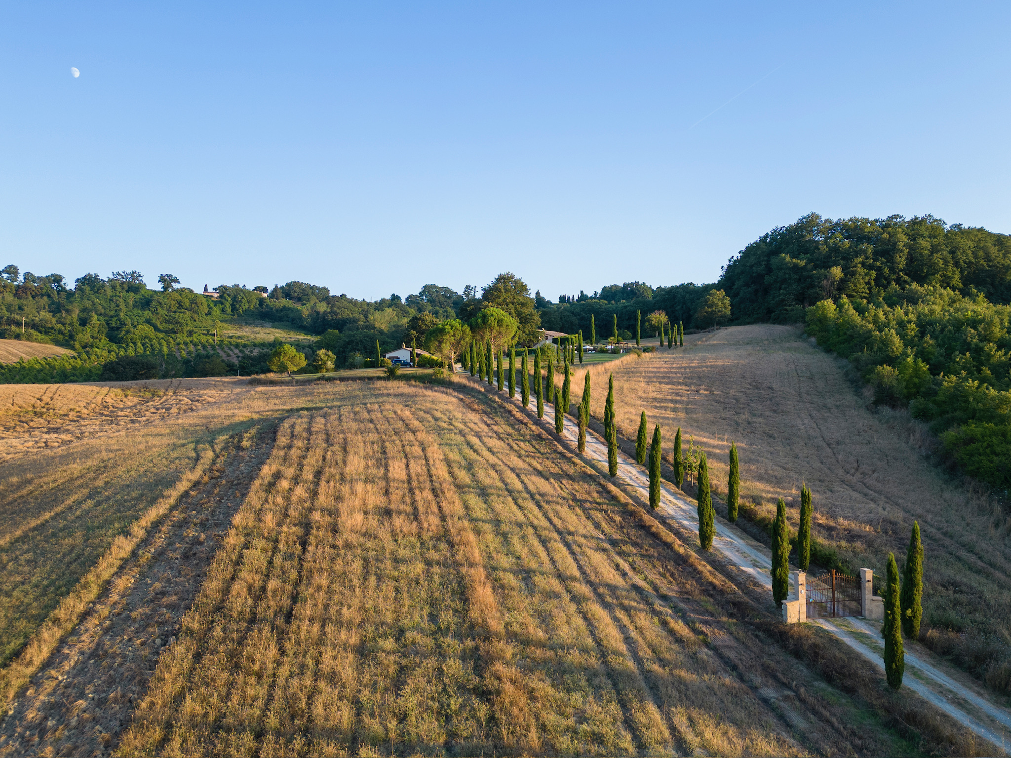 La-Collina-d'Or-cypressdriveway-cypresstrees-rollinghills-italianestate