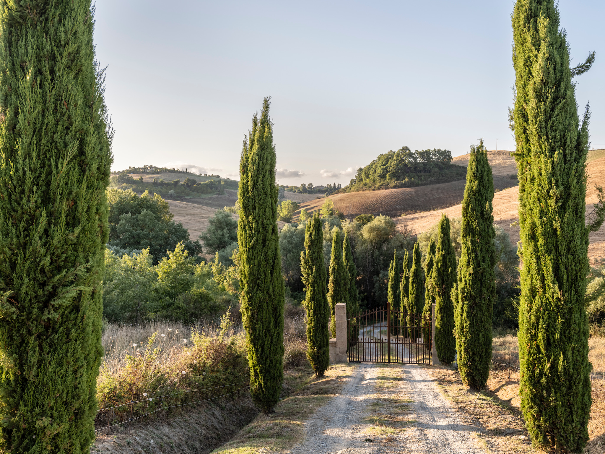 La-Collina-d'Oro-cypressdriveway-gate-estategate
