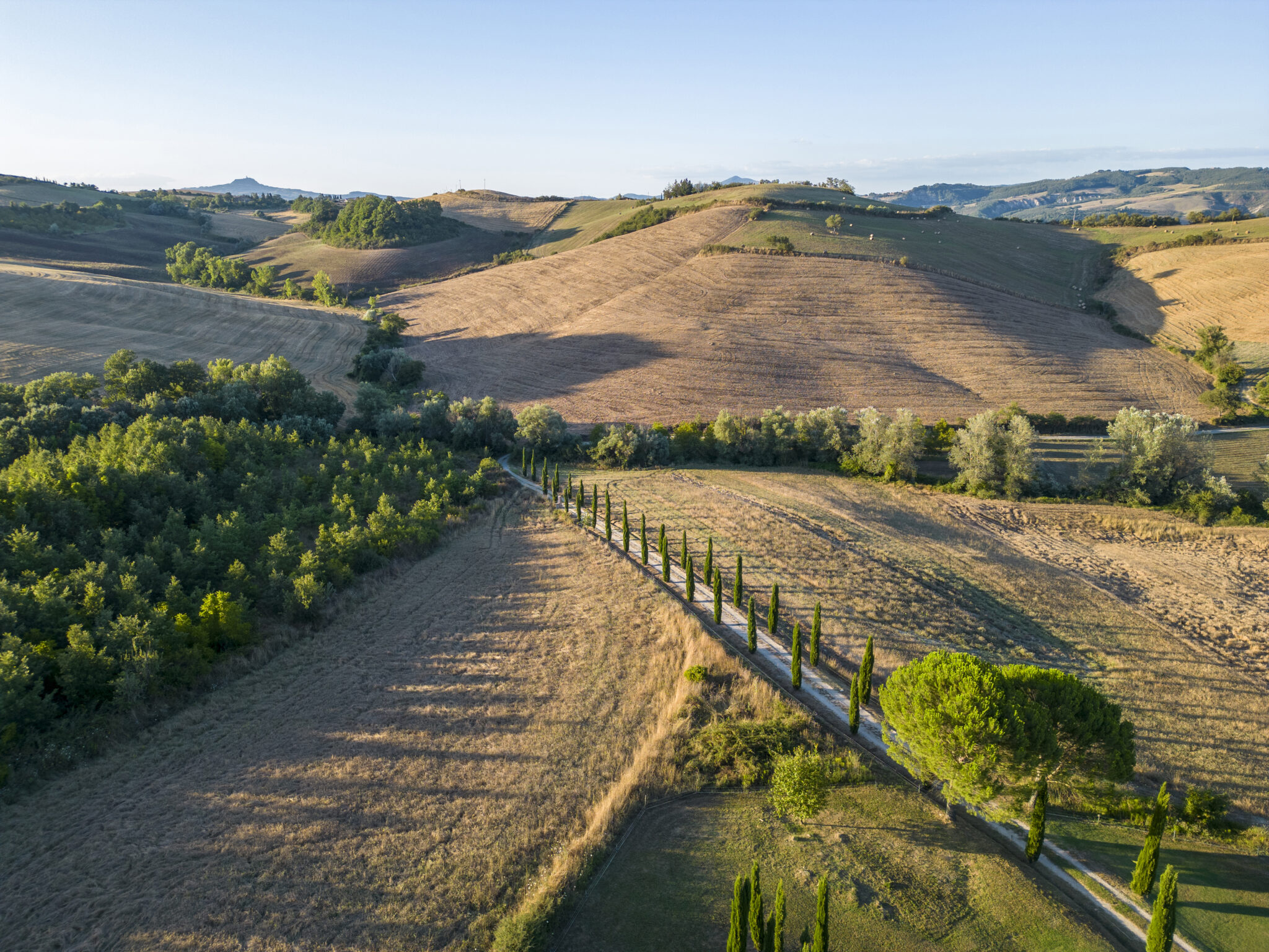 117 Podere Pantano 2023 DZ