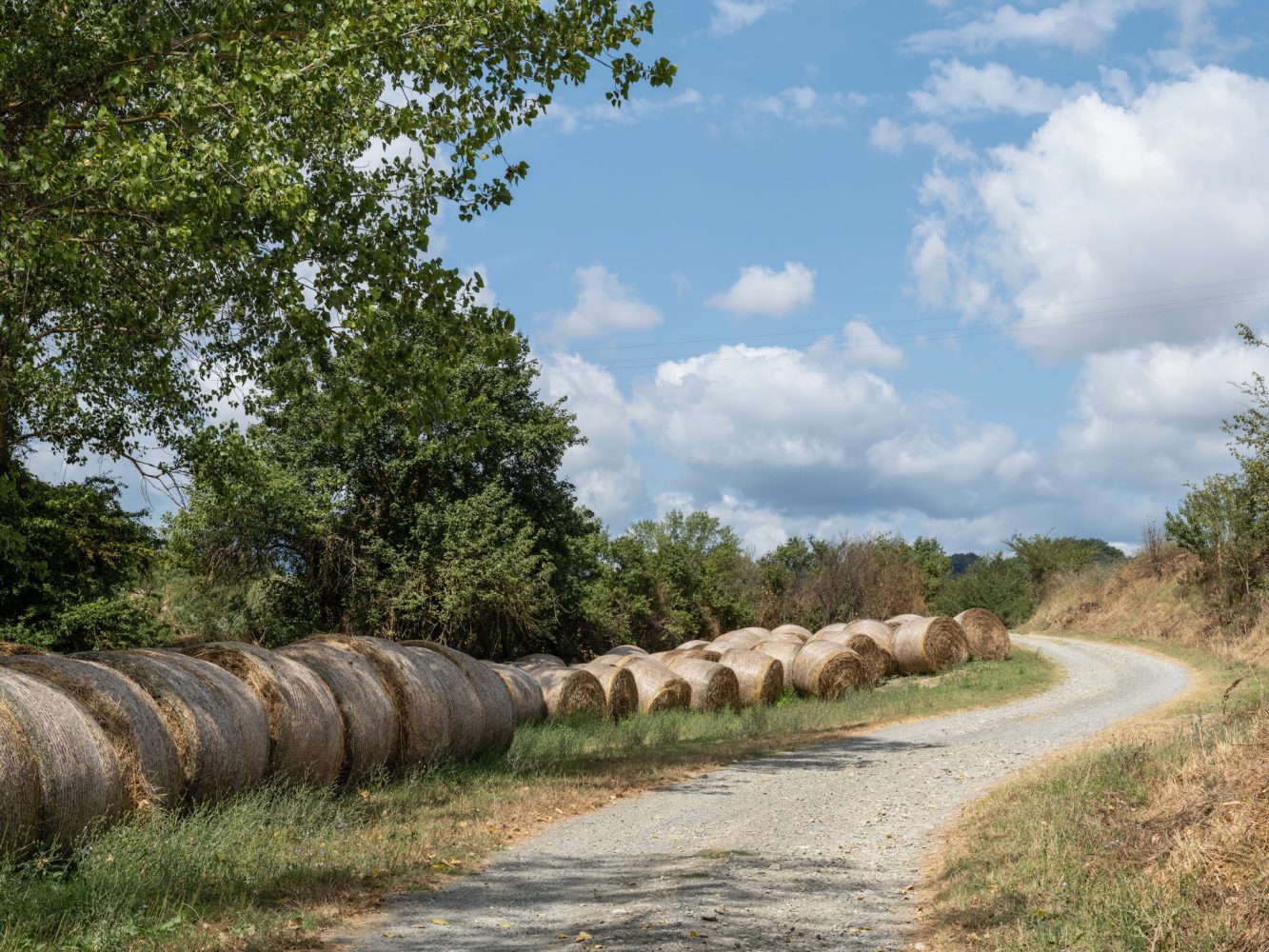 La-Collina-d'Or-dirtroad-haybales
