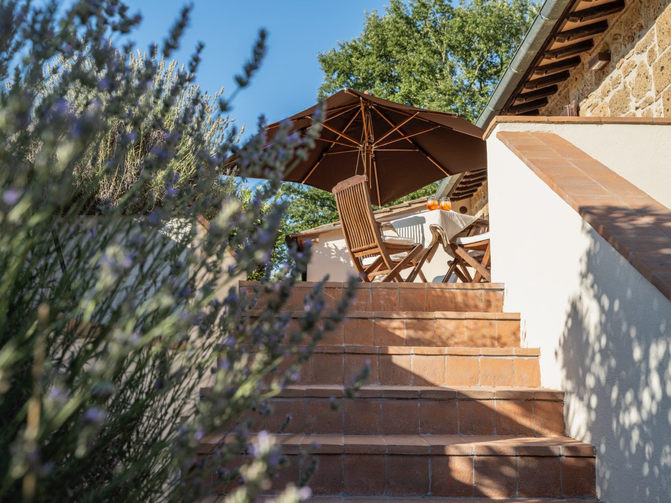 La-Collina-d'Or-mainhouseterrace-lavender